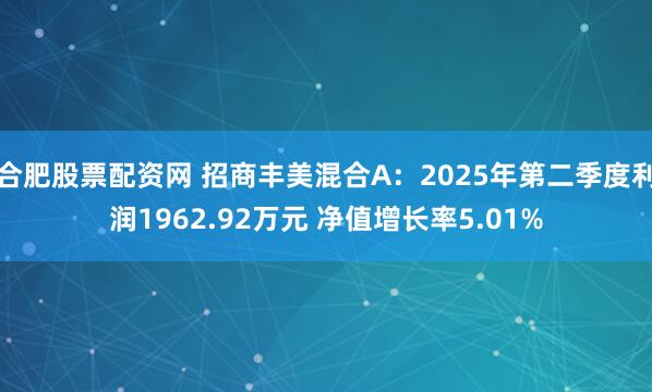 合肥股票配资网 招商丰美混合A：2025年第二季度利润1962.92万元 净值增长率5.01%