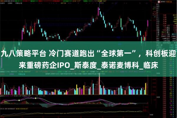 九八策略平台 冷门赛道跑出“全球第一”，科创板迎来重磅药企IPO_斯泰度_泰诺麦博科_临床