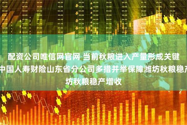 配资公司唯信网官网 当前秋粮进入产量形成关键期——中国人寿财险山东省分公司多措并举保障潍坊秋粮稳产增收