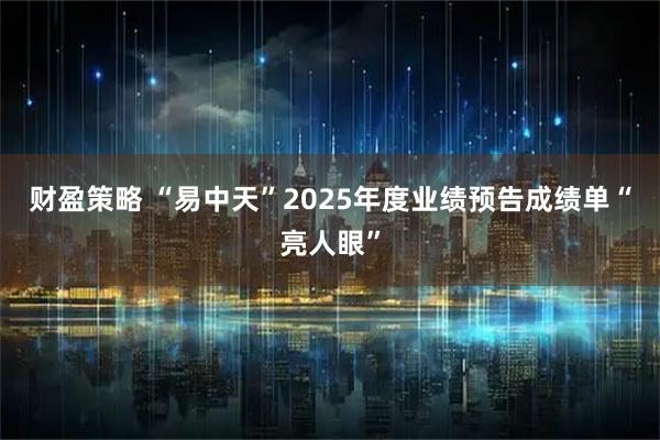 财盈策略 “易中天”2025年度业绩预告成绩单“亮人眼”