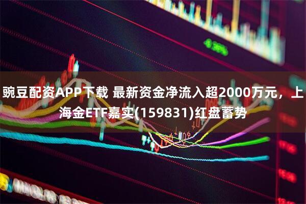 豌豆配资APP下载 最新资金净流入超2000万元，上海金ETF嘉实(159831)红盘蓄势