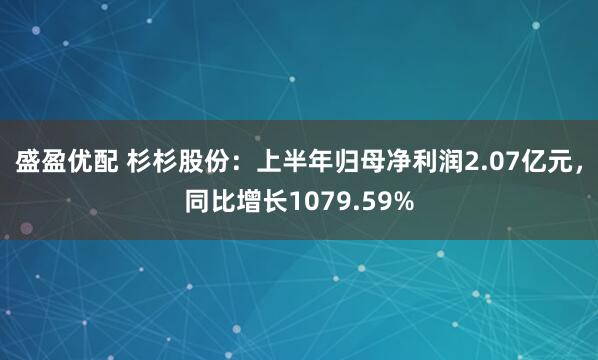 盛盈优配 杉杉股份：上半年归母净利润2.07亿元，同比增长1079.59%